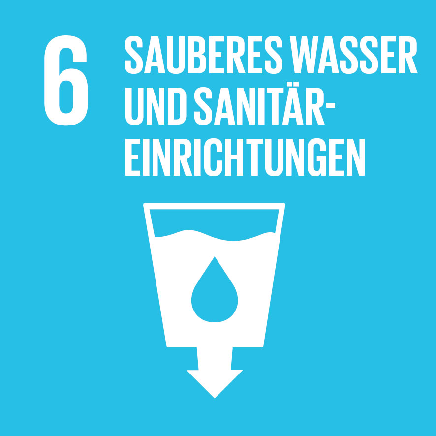 SDG icon DE 06