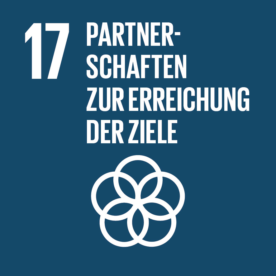 SDG 17