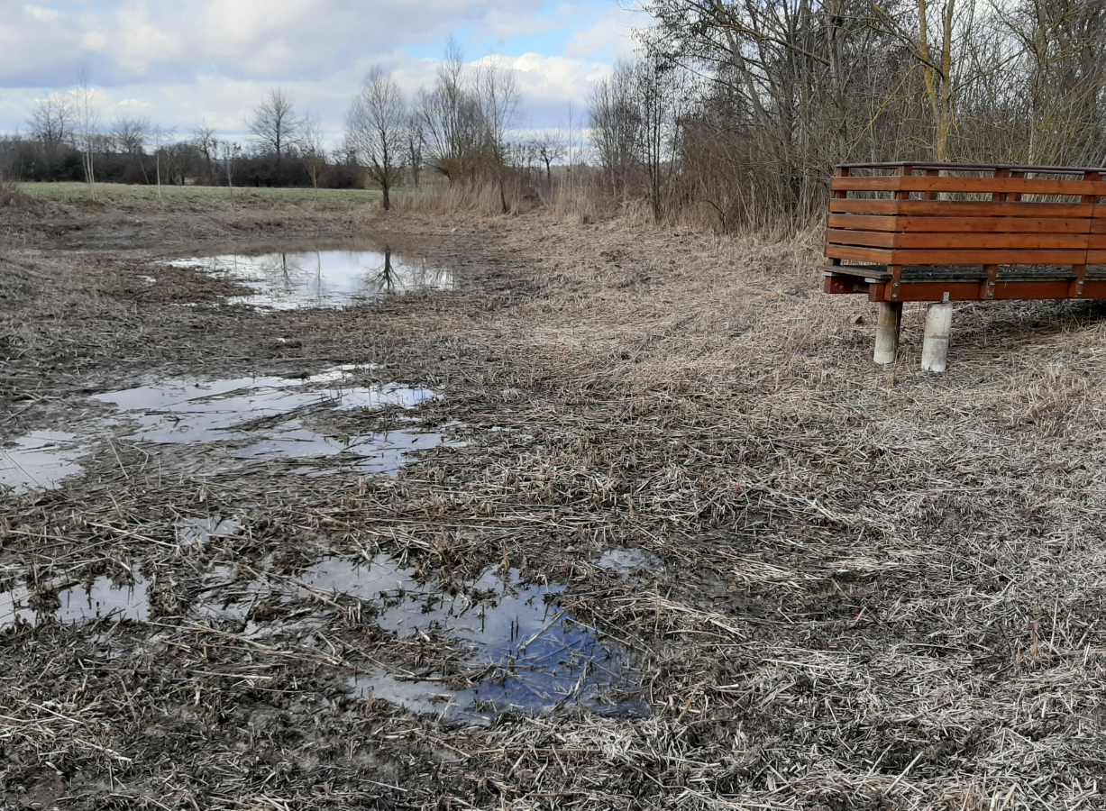 Tümpel Ökolehrpfad Bild 1