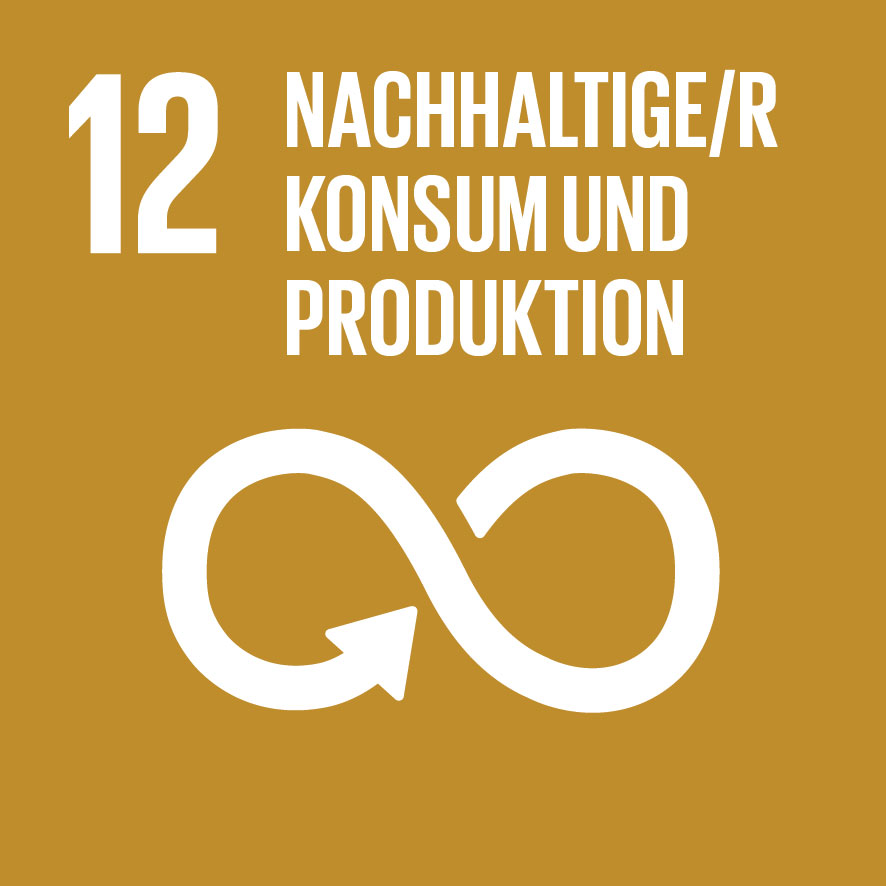 SDG icon DE 15