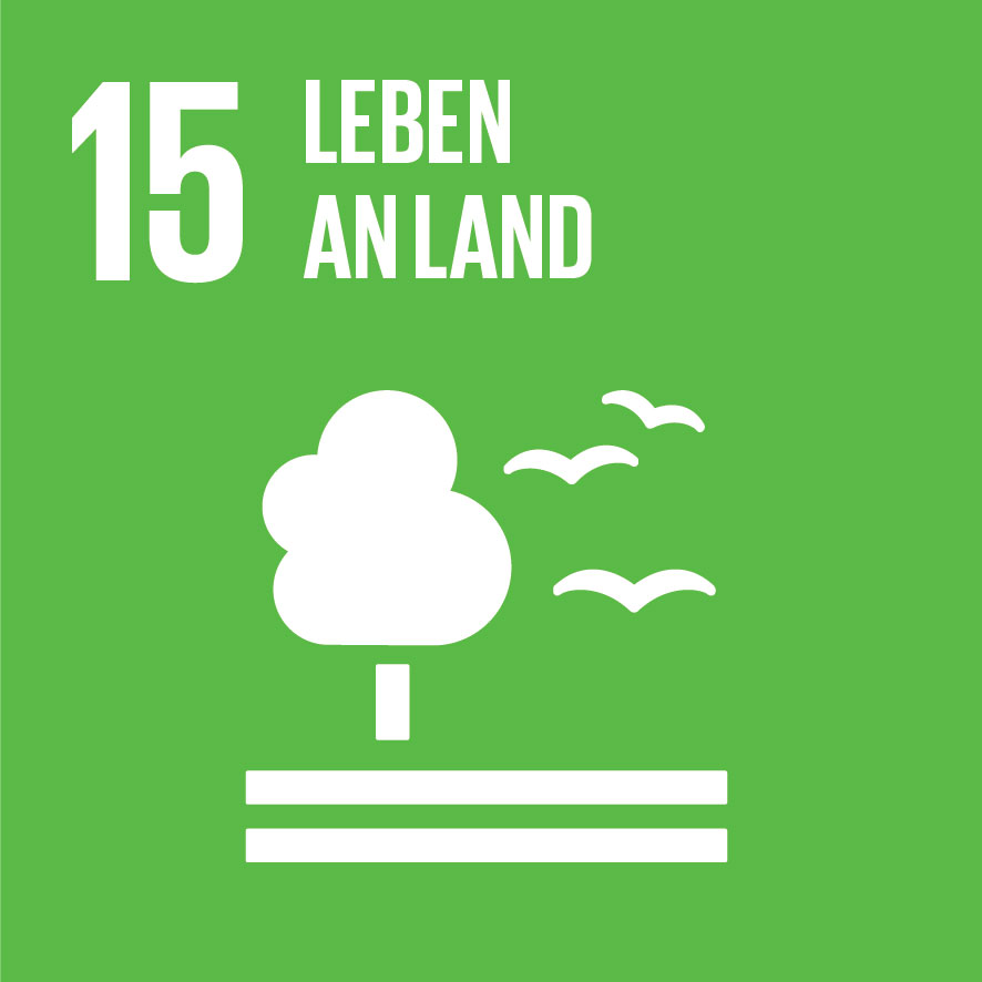 SDG icon DE 15