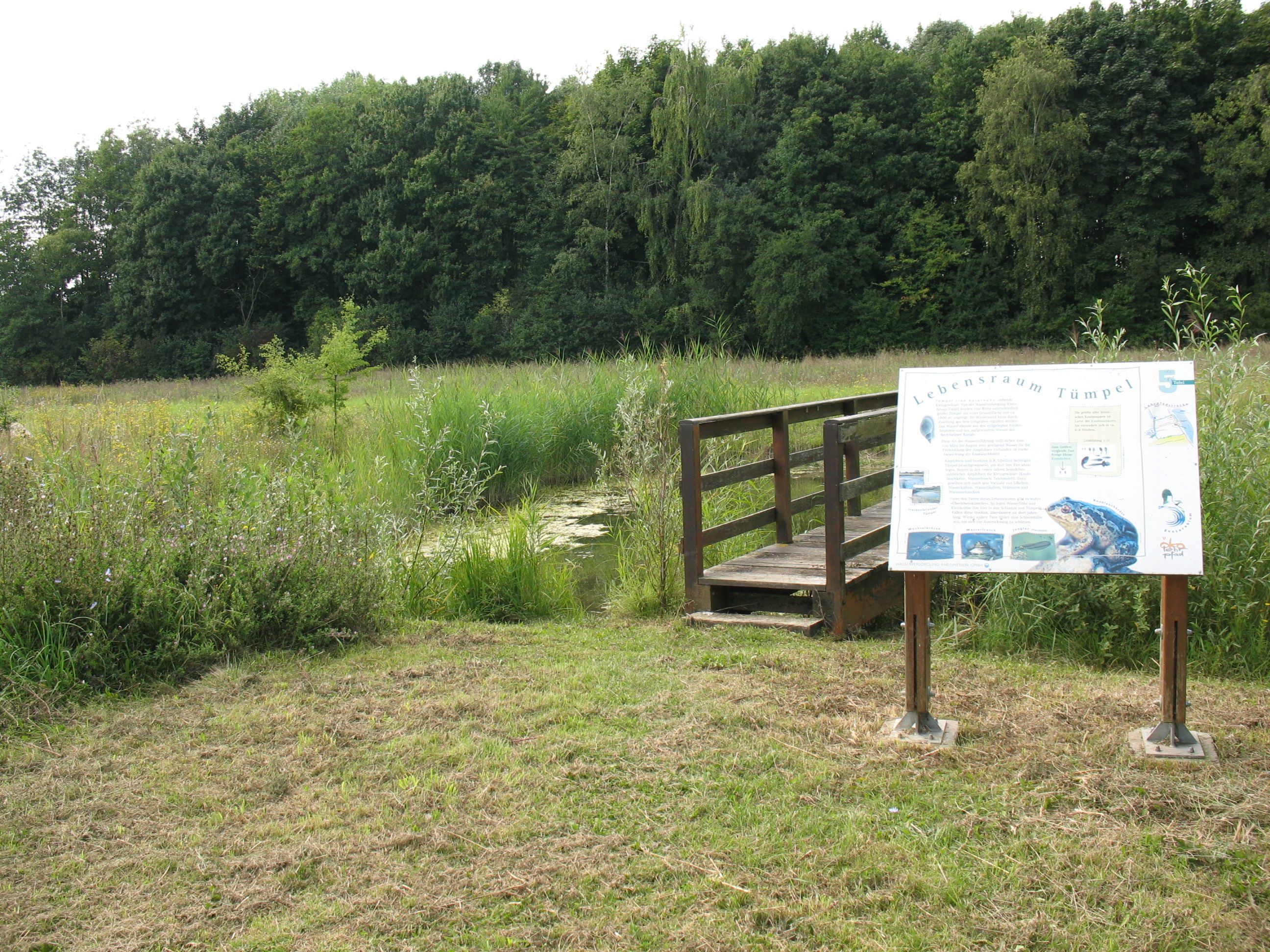 Eine Tafel des Ökolehrpfades in Guntersblum